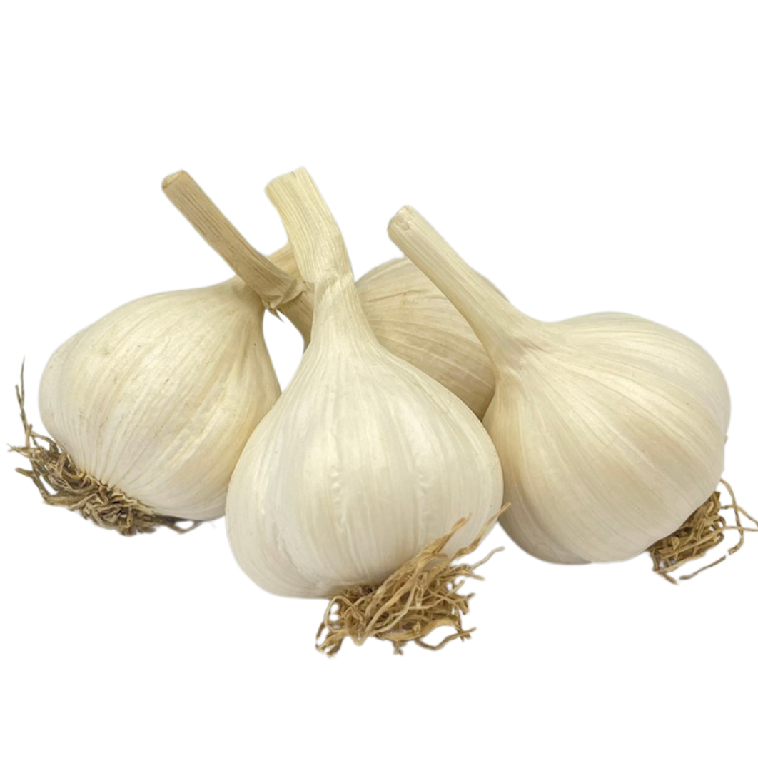 ကြက်သွန်ဖြူသေး(ဗမာသီး)|Garlic (Small : Shan)