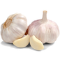 ကြက်သွန်ဖြူကြီး (ကြူကုတ်)|Garlic (Big : Chinese)
