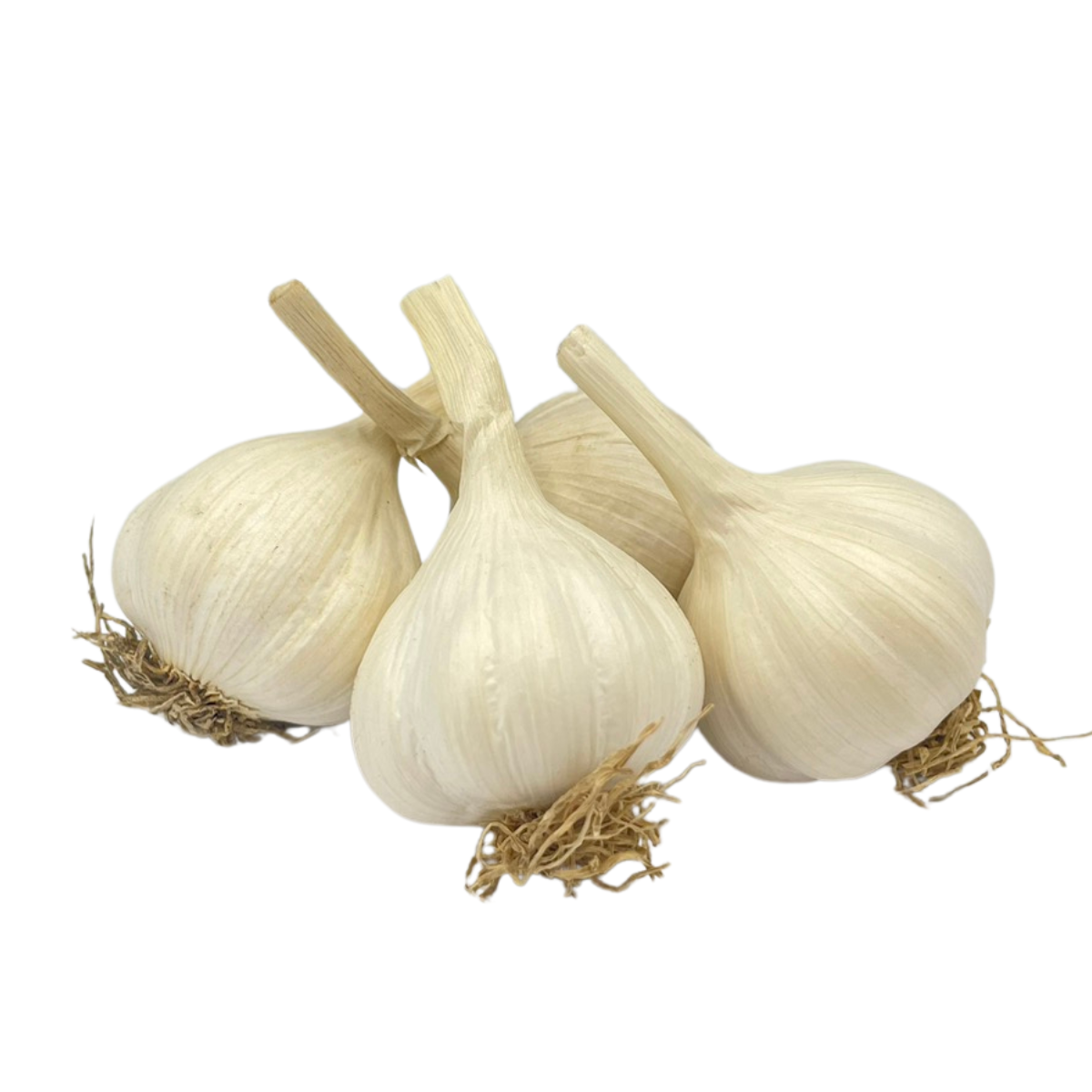 ကြက်သွန်ဖြူသေး (၅၀ ကျပ်သား) ဗမာသီး|Garlic Shan 0.5 Viss