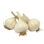 ကြက်သွန်ဖြူသေး (၅၀ ကျပ်သား) ဗမာသီး|Garlic Shan 0.5 Viss