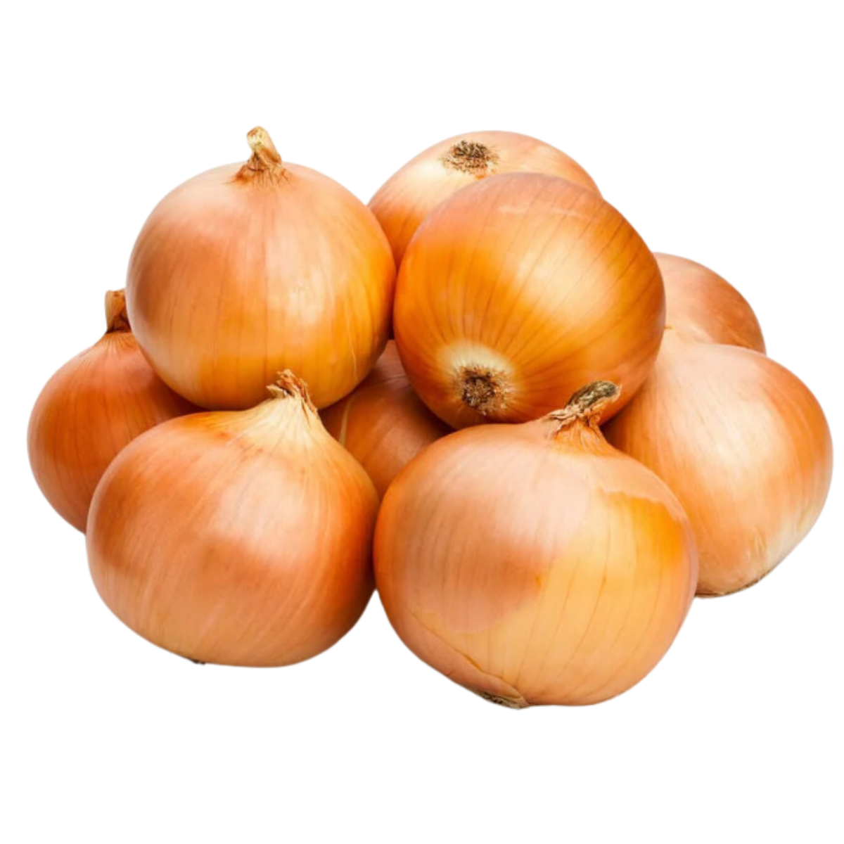 ကြက်သွန်နီ (မြစ်သား)|Onion (Myit Tar)