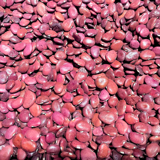 ပဲနီပြား|Red Butter Bean