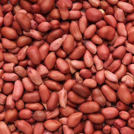 မြေပဲ|Peanut