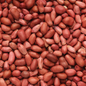 မြေပဲ|Peanut