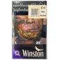 ဝင်စတန် ခရမ်း|Winston Purple Mint