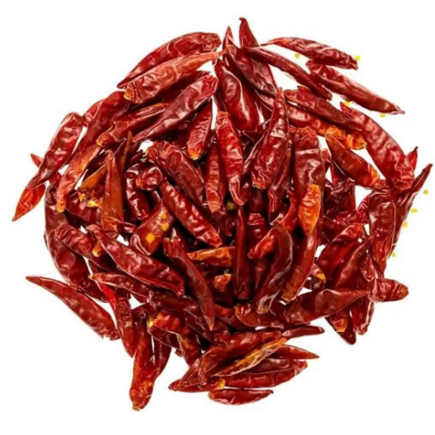 ငရုတ်သီးတောင့်ရှည် (ရိုးရိုး)|Raw Chili Stick