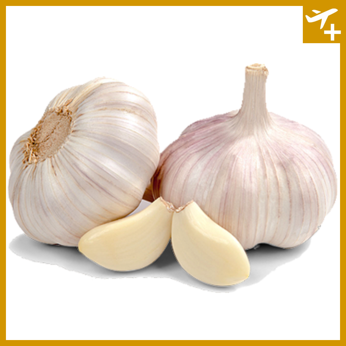ကြက်သွန်ဖြူကြီး (ကြူကုတ်)|Garlic (Big : Chinese)