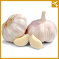 ကြက်သွန်ဖြူကြီး (ကြူကုတ်)|Garlic (Big : Chinese)
