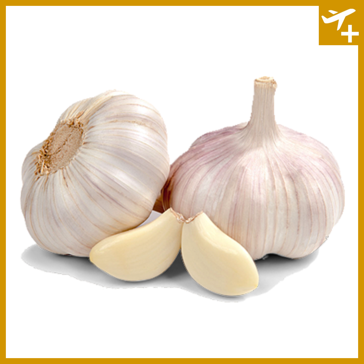 ကြက်သွန်ဖြူကြီး (၅၀ ကျပ်သား) ကြူကုတ်|Garlic Chinese 0.5 Viss