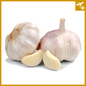 ကြက်သွန်ဖြူကြီး (၅၀ ကျပ်သား) ကြူကုတ်|Garlic Chinese 0.5 Viss
