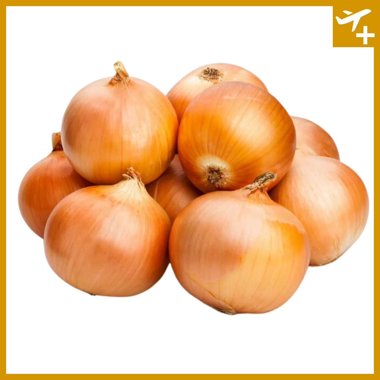 ကြက်သွန်နီ (မြစ်သား)|Onion (Myit Tar)