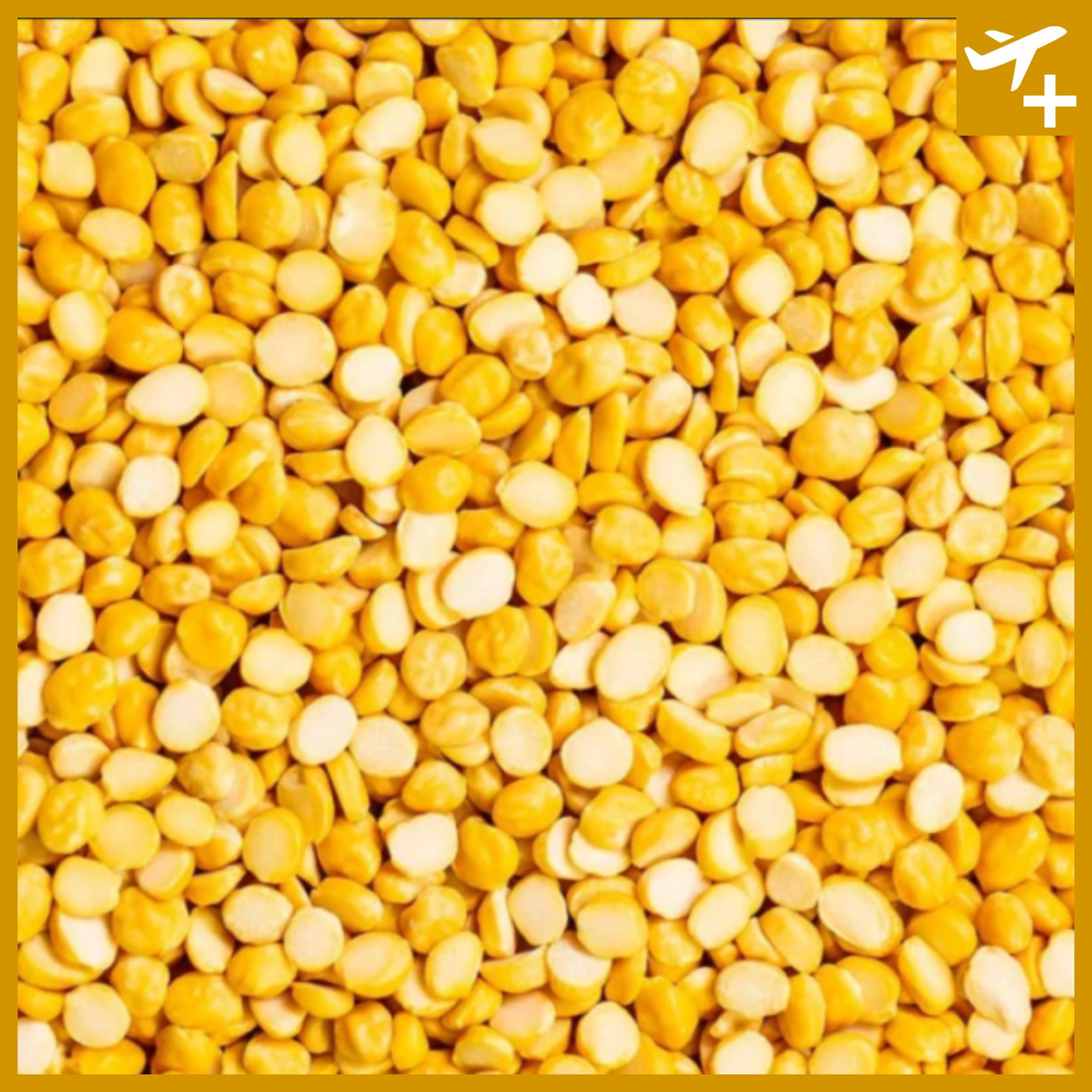 ကုလားပဲ|Dry Chicken Pea