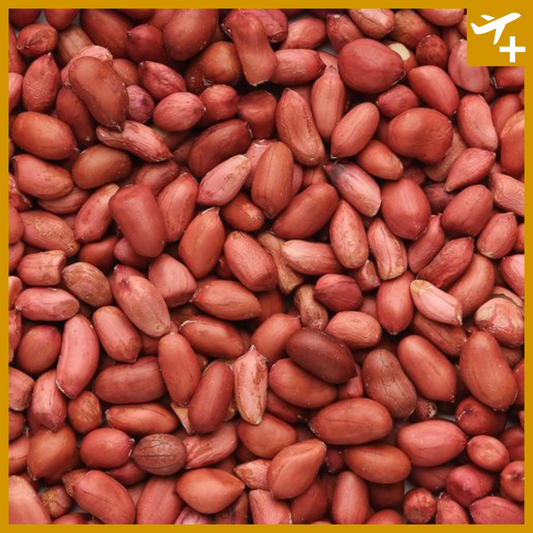 မြေပဲ|Peanut